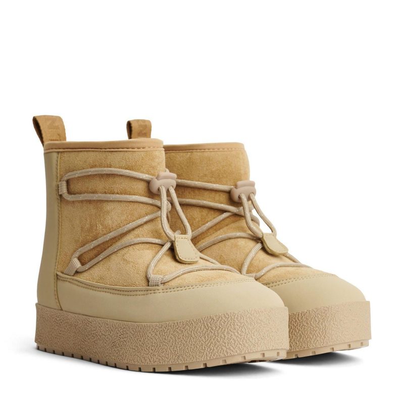 Safari