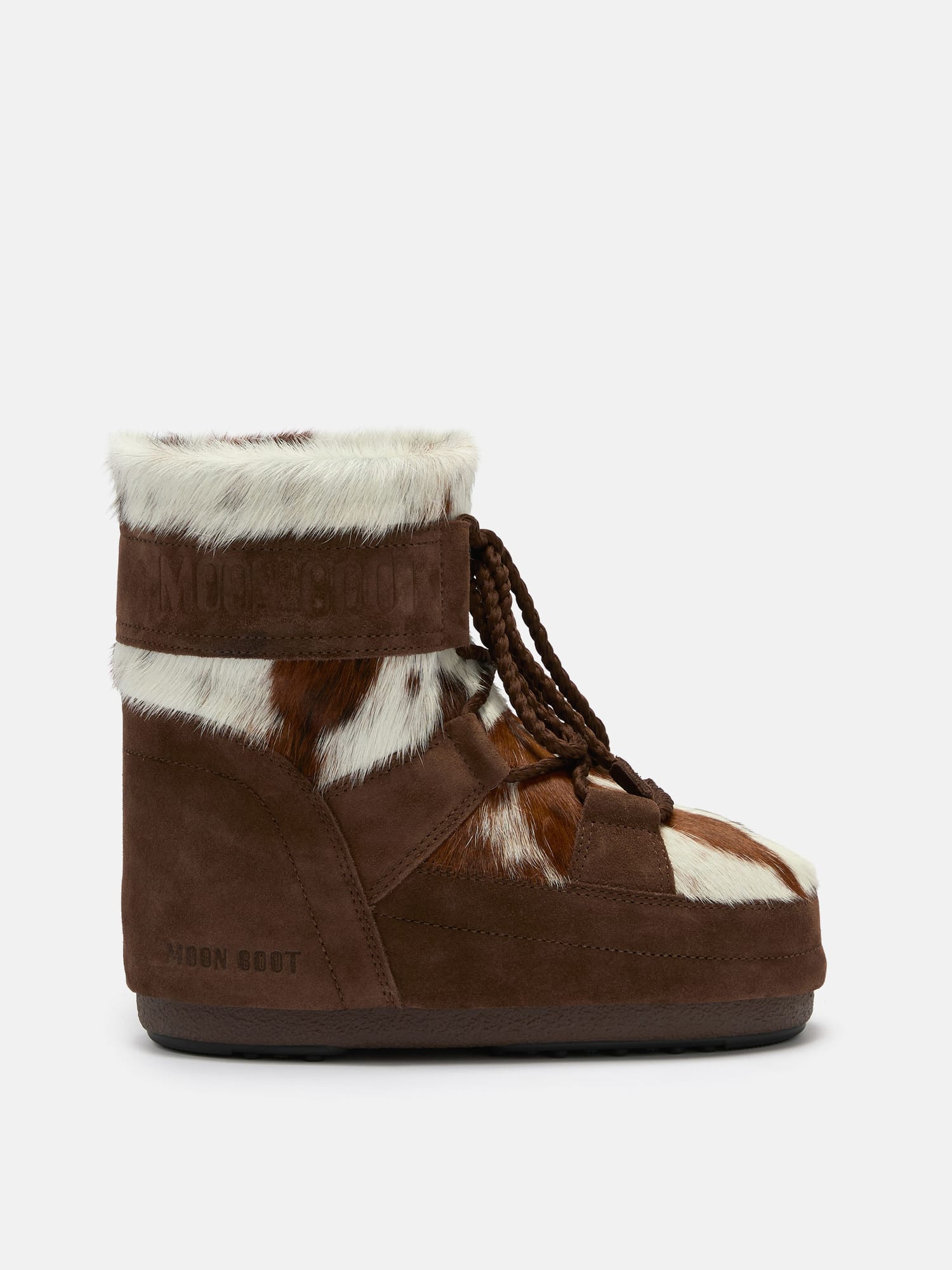 WHITE/COCOA