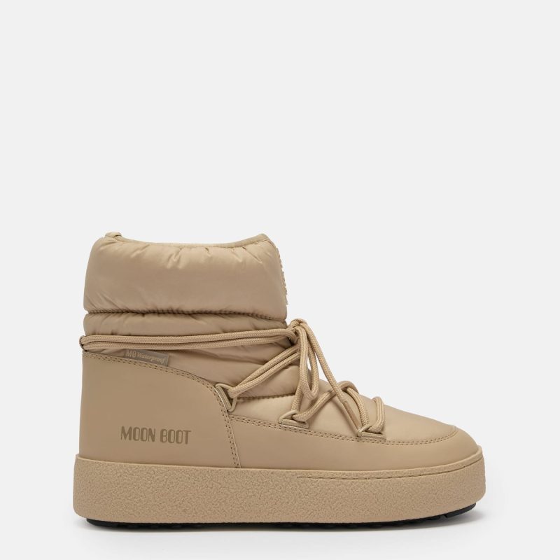Safari