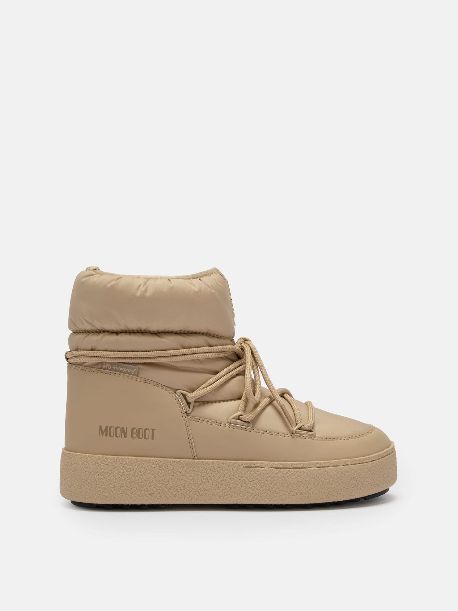Safari